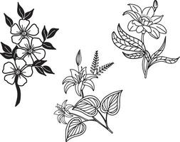 Floral Plants Set Decorative vector