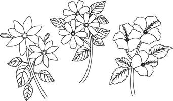 Floral Pack Aesthetic vector