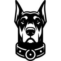 Tattoo of serious Doberman dog head in monochrome. Doberman dog portrait in collar. Engraving minimalistic image in black ink drawing on white background vector