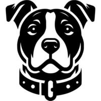 Tattoo of serious pitbull dog head in monochrome. Pitbull dog portrait in collar. Engraving minimalistic image in black ink drawing on white background vector