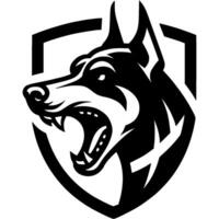 Tattoo of angry roaring Doberman dog head in monochrome. Doberman dog against background of shield. Engraving minimalistic image in black ink drawing on white background vector