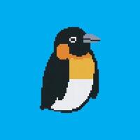 penguin pixel art vector