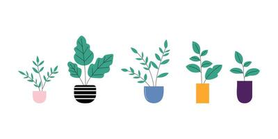 Colorful potted plants in various shapes and styles. vector