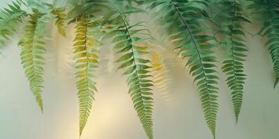 Swirling Green Fern Fronds with Glowing Light and Depth Effect photo