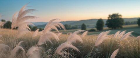 Tall grass sways gently under clear blue sky at dusk in serene countryside setting photo