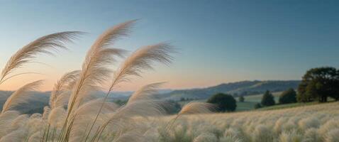 Tall grass sways gently under clear blue sky at dusk in serene countryside setting. photo