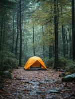 A vibrant orange tent nestled in a serene forest, surrounded by autumn leaves and trees. photo