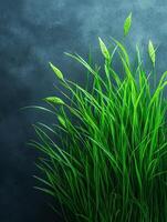 Lush green grass against a textured dark background, evoking a sense of nature and tranquility. photo