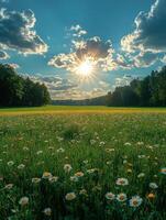 A vibrant field of daisies under a sunny sky with clouds, capturing nature's beauty. photo