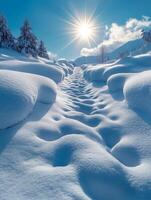 A serene winter landscape with a sunlit path through deep snow. photo