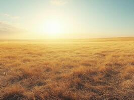 A serene landscape at sunrise, featuring golden grass under a clear blue sky. photo