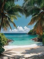 Tropical beach scene framed by palm trees and clear turquoise waters. photo