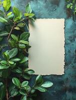 A blank sheet of paper surrounded by green leaves on a textured teal background. photo