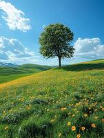A serene landscape featuring a solitary tree amidst a vibrant field of flowers under a blue sky. photo