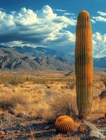 A tall cactus stands in a desert landscape with mountains and clouds in the background. photo