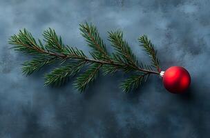 Red Ornament and Pine Branch on Blue Background photo