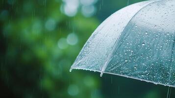 Transparent Umbrella with Raindrops in the Rain photo