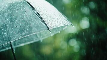 Transparent Umbrella with Raindrops in a Rainy Forest photo