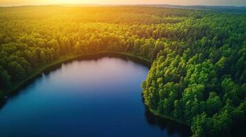 Aerial View of a Serene Lake Surrounded by Lush Green Forest photo