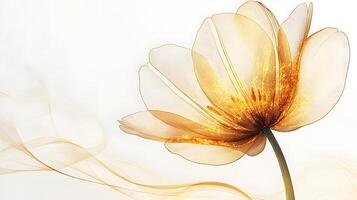 Delicate golden line art depicts tulip flower with intricate petal details on white backdrop, combining elegant botanical drawing style with minimalist art nouveau design elements. graceful photo