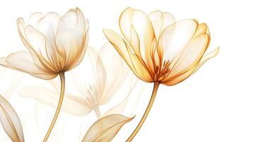 Delicate golden line art depicts tulip flower with intricate petal details on white backdrop, combining elegant botanical drawing style with minimalist art nouveau design elements. minimalist photo
