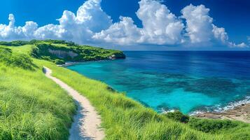 Tropical paradise island features winding path through lush green grass, surrounded by crystal clear turquoise ocean and pristine white fluffy clouds in serene seascape under bright sunny sky. shore photo