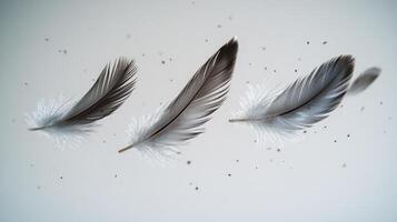 Feathers drift gently in a serene and minimalist composition photo