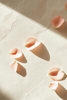 Elegant blush pink petals scatter across a smooth cream textured surface with soft shadows creating depth in an ultra-HD minimalist composition photo