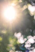 Abstract natural bokeh background, defocused nature background with sun light photo