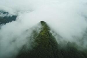 A mountain covered in clouds with a green tree photo
