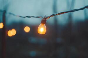 Warm glow of string lights illuminating a cool evening in a garden setting with blurred lights in the background photo