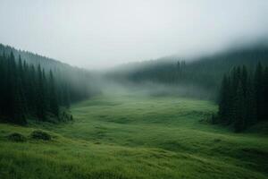 Misty green valley during early morning hours in a tranquil forest landscape photo