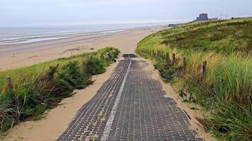 Sandy Pathway Leading to the Beach Holland, Zandvoort, A sandy pathway with a reinforced walkway cutting through grassy dunes video