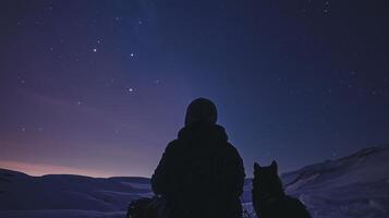 Person with sled dogs watching aurora borealis in snowy landscape at night photo