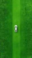Aerial View of Single Car Driving on Vibrant Green Grass Path Creating Striking Contrast Between Natural Landscape and Automotive Design in Minimalist Aesthetic photo