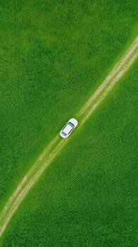 Aerial View of White Car on Green Grass Path Top View with Lush Landscape Summer Scenic Background photo