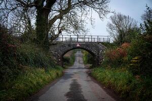 Empty country road passing under stone bridge in autumn photo