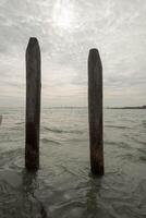 Two wooden poles emerging from venetian lagoon water photo