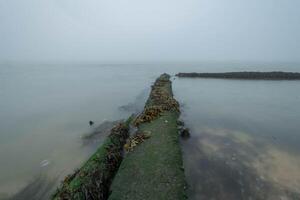 Old concrete pier disappearing into the fog, covered with seaweed and moss photo
