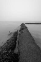 Old concrete pier stretching into the misty sea with seaweed photo