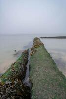 Concrete breakwater covered with green algae disappearing into the fog photo