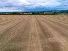 Harvested wheat field creating leading lines towards distant houses under cloudy sky photo