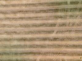 Aerial view of harvested wheat field showing track marks from farming vehicles photo