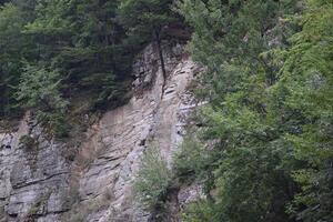 Steep rocky cliff face rising above green forest photo