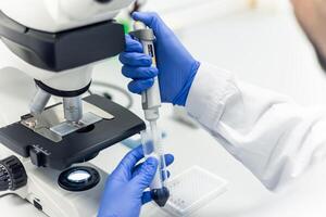 Scientist using micropipette and microscope during scientific experiment in laboratory photo