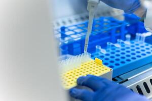 Scientist using micropipette adding sample into microtubes inside a biosafety cabinet photo