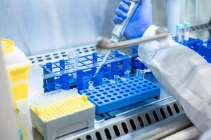 Scientist using micropipette adding fluid to test tube inside laminar flow cabinet photo