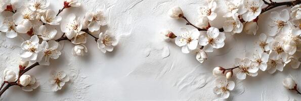 Delicate white blossoms on textured background showcasing spring beauty and natures elegance photo