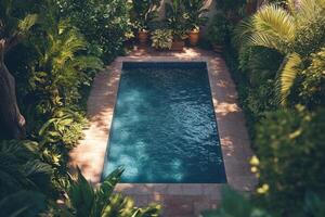 Tranquil backyard oasis with a serene swimming pool surrounded by lush greenery and plants photo