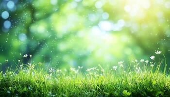 Sunlit meadow with blooming flowers and gentle rain in a serene natural setting photo